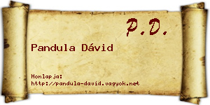 Pandula Dávid névjegykártya
